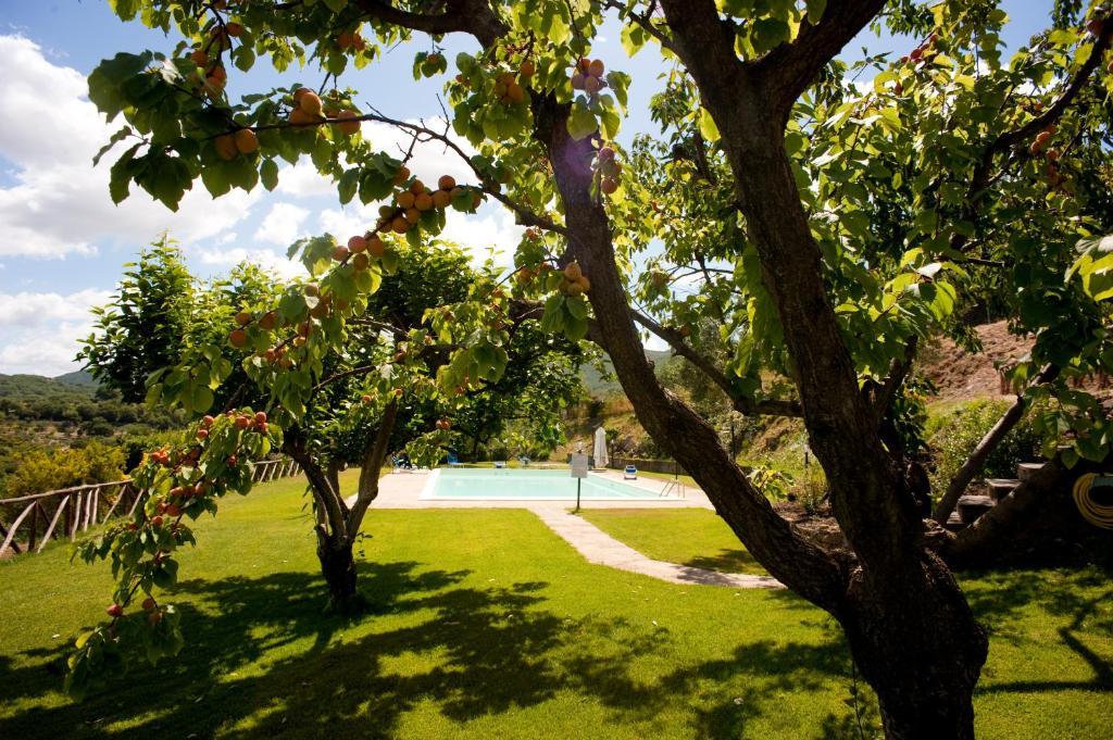 La Cianella - Adult Only Villa Scarlino Kültér fotó